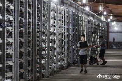 A large-scale mining farm powered by renewable energy in Canada.