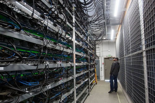 A panoramic view of a mining farm showcasing numerous miners