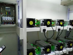 Containerized mining rigs deployed across Dutch hosting sites